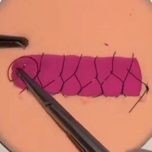 Dra Elisa Mourao Implantodontia e Periodontia 13